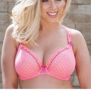 Curvy Kate Princess Plunge Bra - 36F (D4)